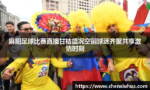 麻阳足球比赛直播甘桔盛况空前球迷齐聚共享激情时刻