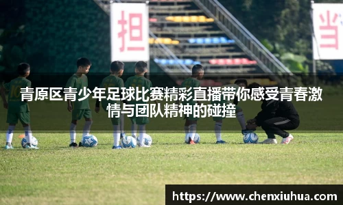 青原区青少年足球比赛精彩直播带你感受青春激情与团队精神的碰撞